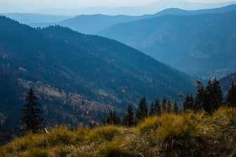 Misty Blue Mountain Landscape with Autumn Forest and Grass