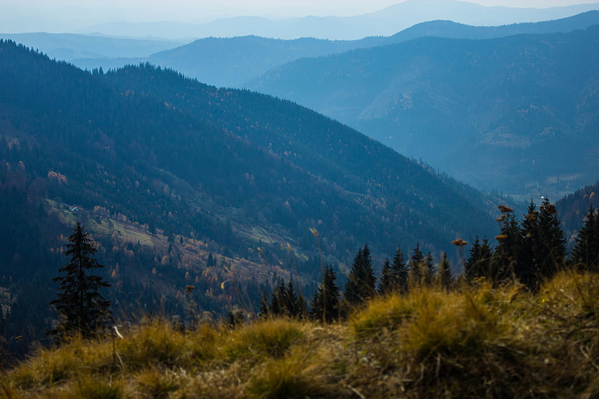 Misty Blue Mountain Landscape with Autumn Forest and Grass