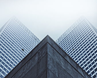 Low angle view of modern skyscrapers in fog