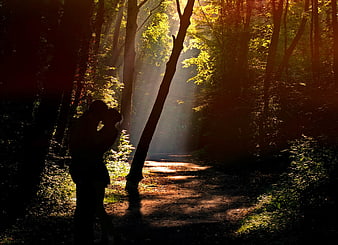 Silhouetted couple embracing in a sunlit forest path