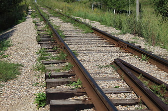 Overgrown abandoned railway tracks with rusted rails and wooden sleepers