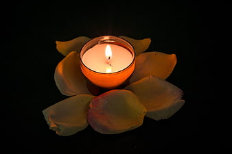 Lit Tea Light Candle Surrounded by Rose Petals on Black Background