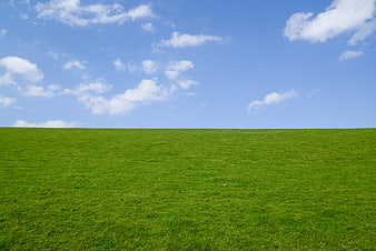 Vibrant Green Grass Field Under Blue Sky with White Clouds