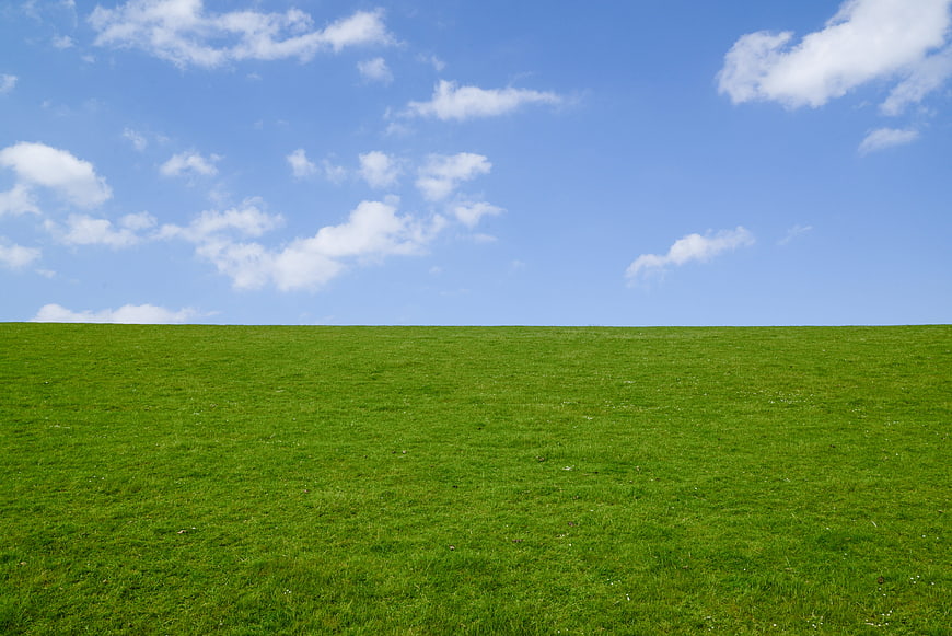 Vibrant Green Grass Field Under Blue Sky with White Clouds