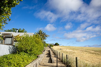 Sunny coastal path with dry grass field and blue sky