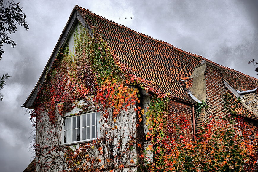 Old brick house covered in autumn ivy under stormy sky