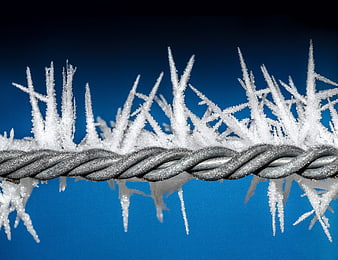 Frosty Barbed Wire Against Blue Background
