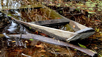 Old wooden boat sinking in swampy wetland water