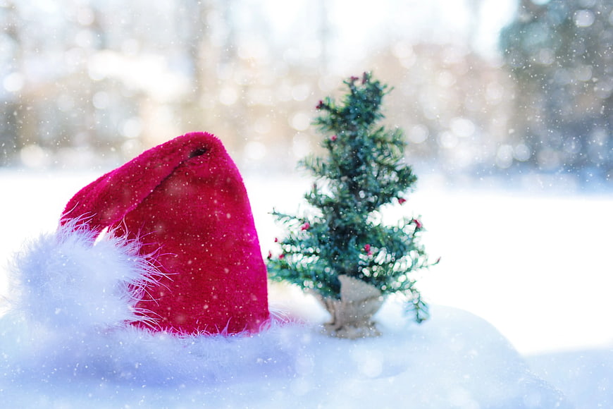 Santa Claus Hat and Miniature Pine Tree in Snow