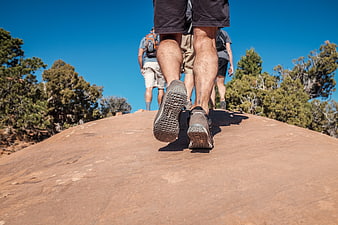 Hikers Walking on Red Rock Trail in Desert Landscape