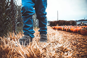 Child Walking on Straw Near Pumpkin Patch