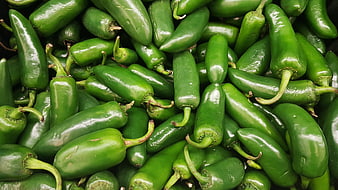 Fresh Green Jalapeño Peppers Pile