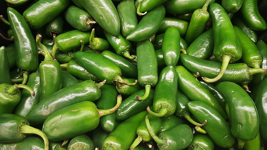 Fresh Green Jalapeño Peppers Pile