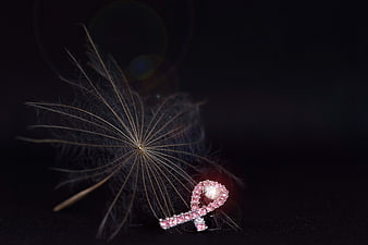 Pink breast cancer awareness ribbon with dandelion seed on black background