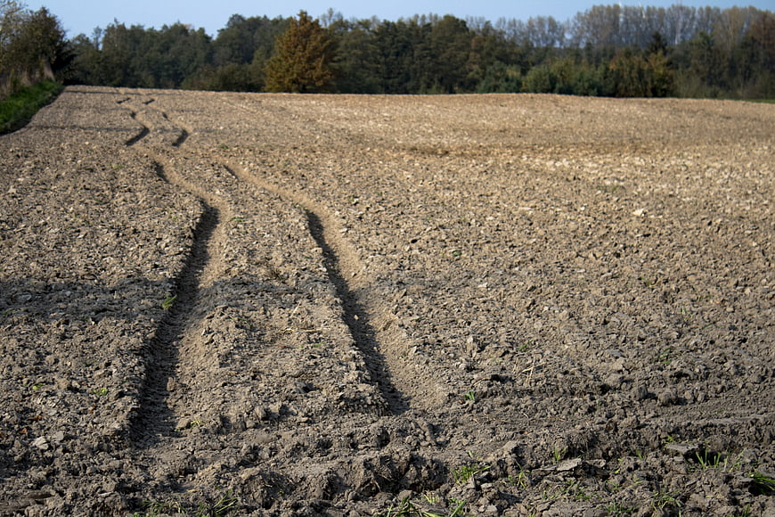 Tractor Tracks in Plowed Agricultural Field with Forest Background