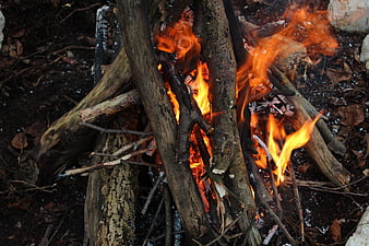 Close-up of burning campfire with logs and flames