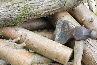 Rusty Hatchet Resting on Pile of Cut Firewood Logs