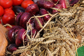 Fresh red onions, tomatoes, and wheat harvest display
