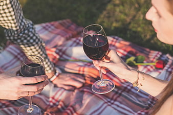 Couple Toasting Red Wine Glasses at Outdoor Picnic