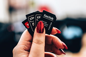 Woman's Hand Holding Multiple Memory Card Adapters