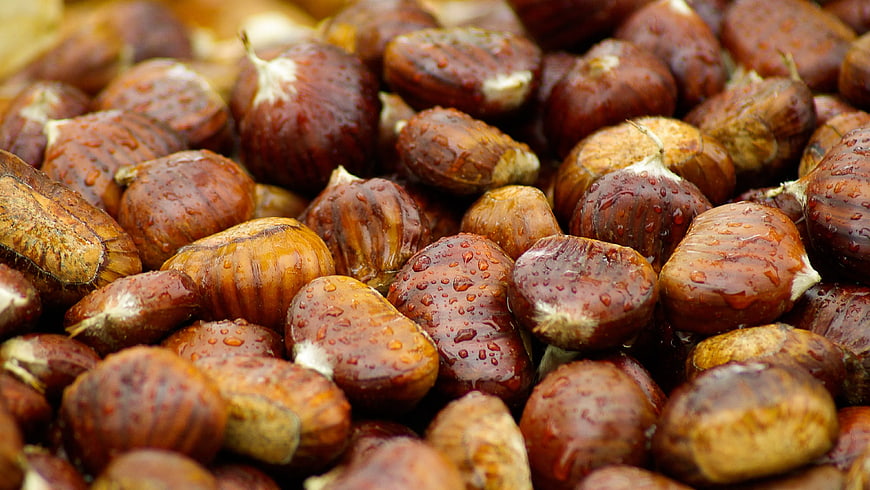Close-up of roasted chestnuts with water droplets