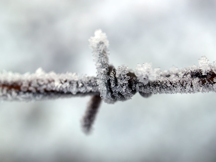 Close-up of frost-covered barbed wire in winter