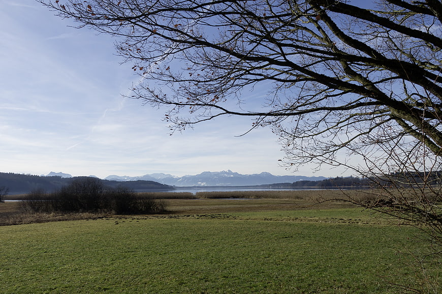 Serene Lake Landscape with Bare Tree Branches and Distant Mountains