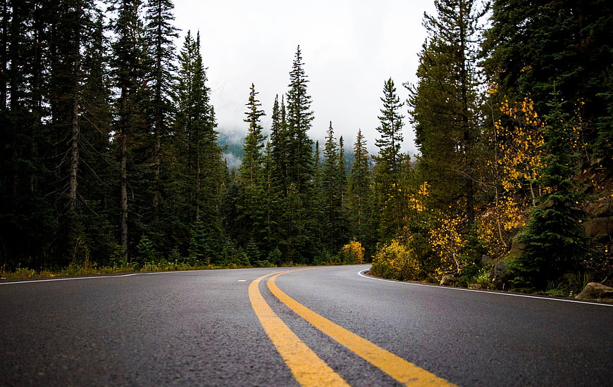 Winding asphalt road through autumn forest with yellow leaves