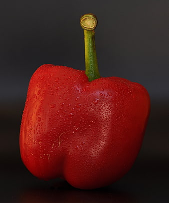 Fresh Red Bell Pepper With Water Droplets On Dark Background