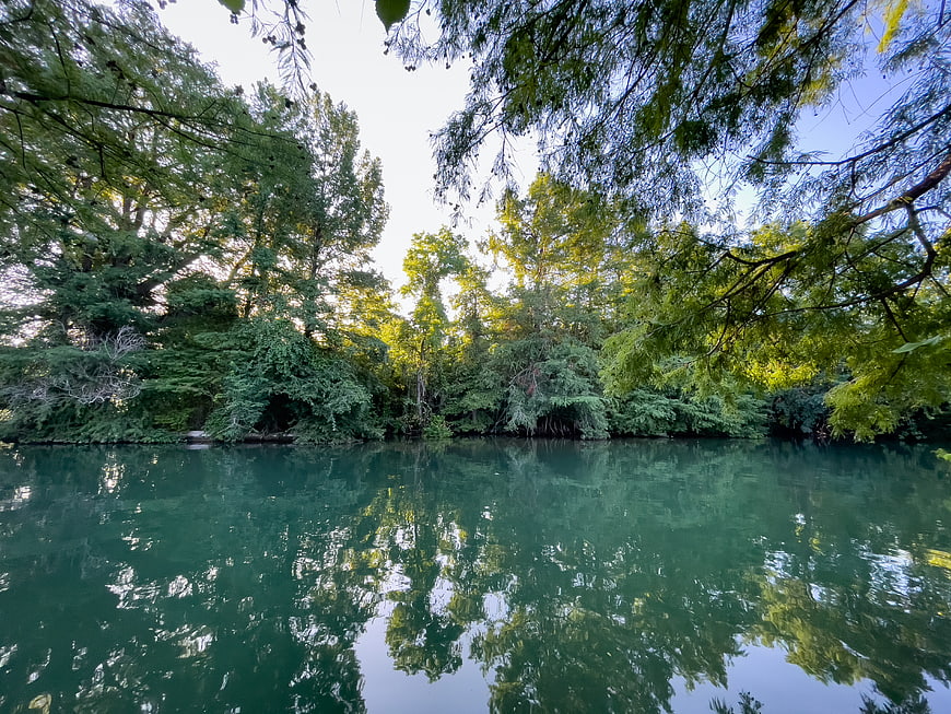 Serene Lake Reflection Surrounded by Lush Green Forest Trees