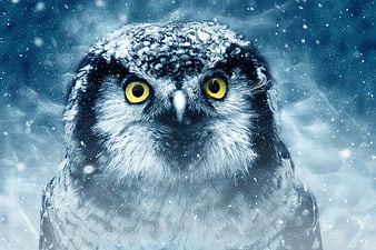Snowy Owl Portrait In Winter Snowstorm