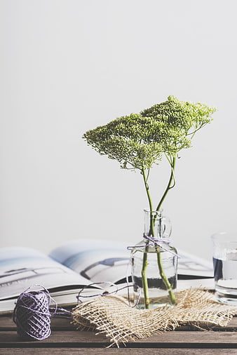 Green flowers in glass vase with burlap and yarn on wooden table