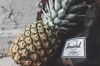 Pineapple resting on Herschel backpack with camouflage pattern
