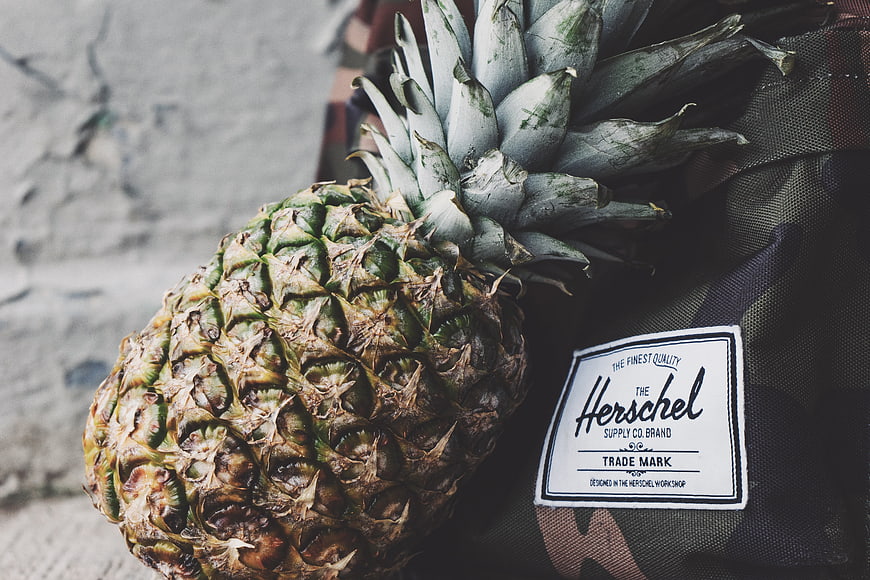 Pineapple resting on Herschel backpack with camouflage pattern