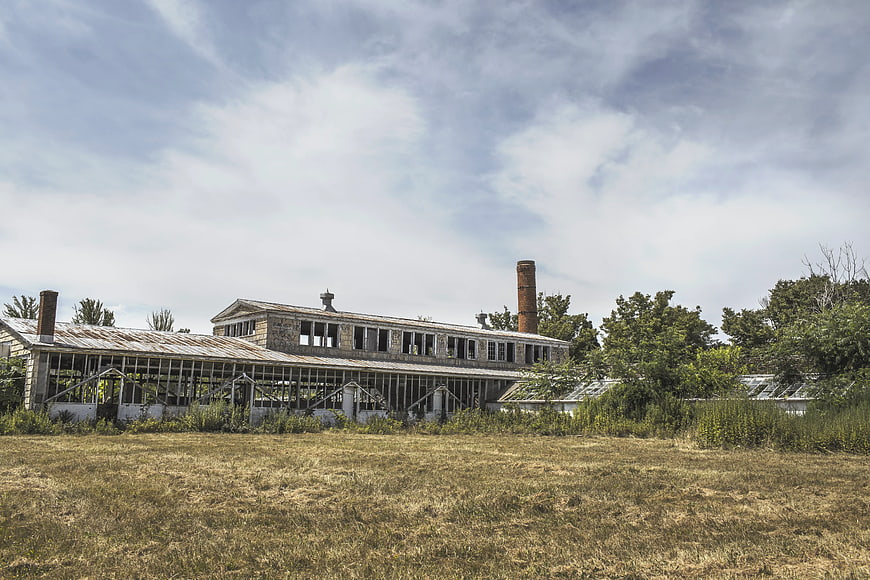 Abandoned Industrial Factory Building with Overgrown Grass