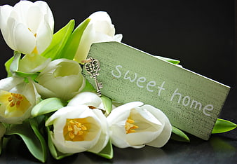 White Tulips And Green Sweet Home Sign With Key
