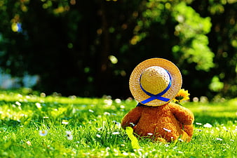 Cute teddy bear with straw hat in sunny meadow