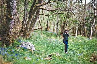 Woman photographer taking pictures in a green forest with bluebells