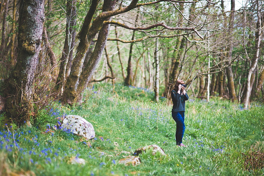 Woman photographer taking pictures in a green forest with bluebells