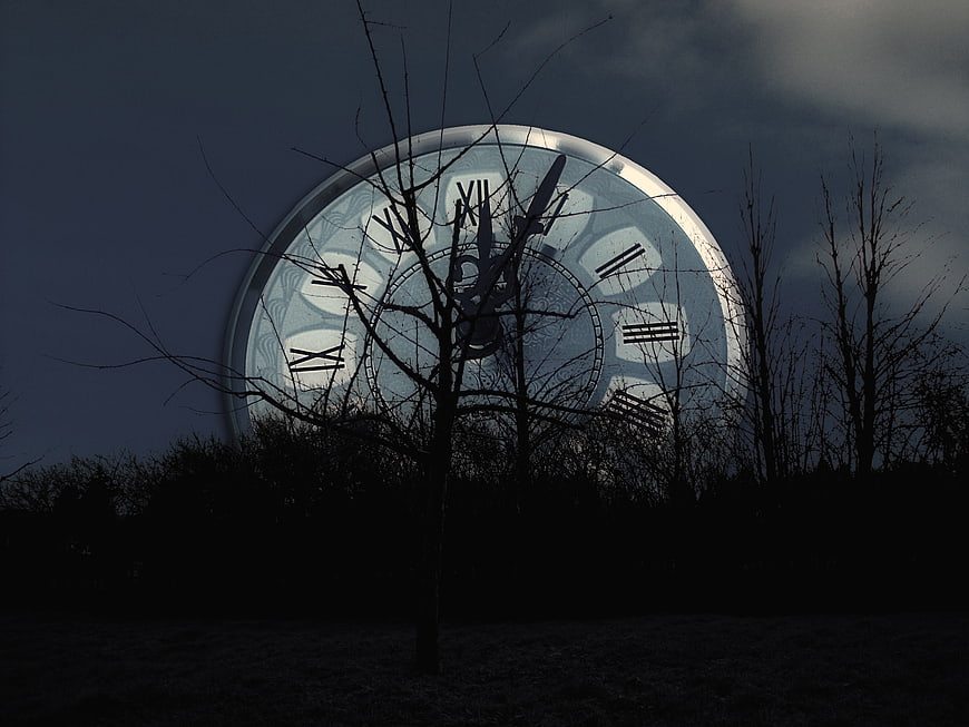 Large illuminated clock face behind bare tree silhouette at night