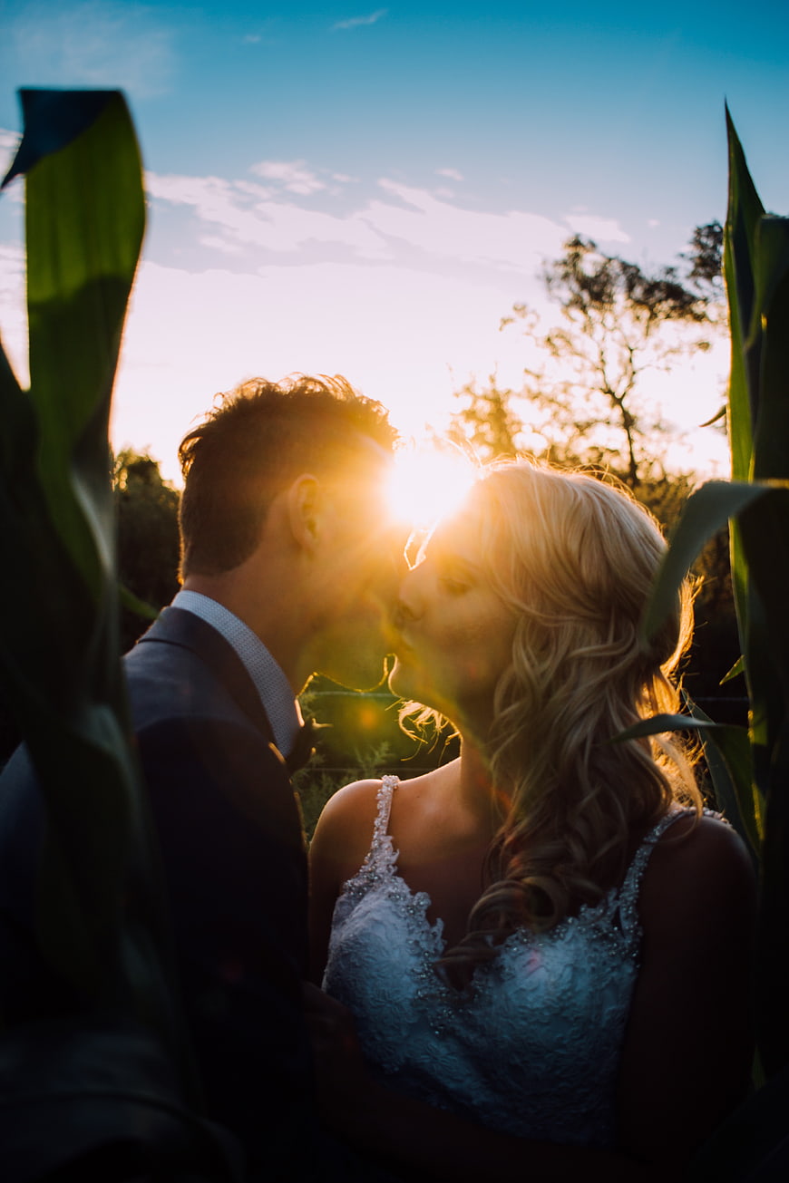 Romantic Wedding Couple Kissing in Cornfield at Sunset
