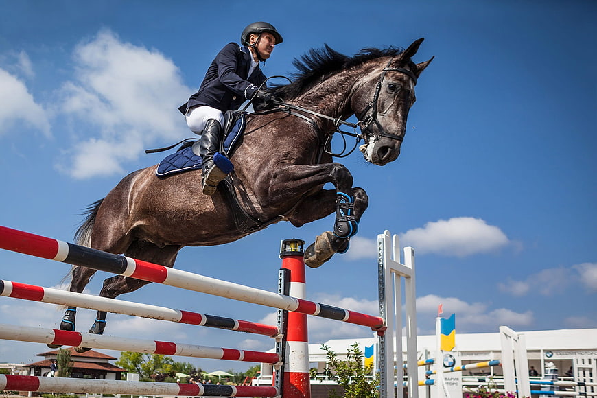 Equestrian show jumping horse and rider mid-air