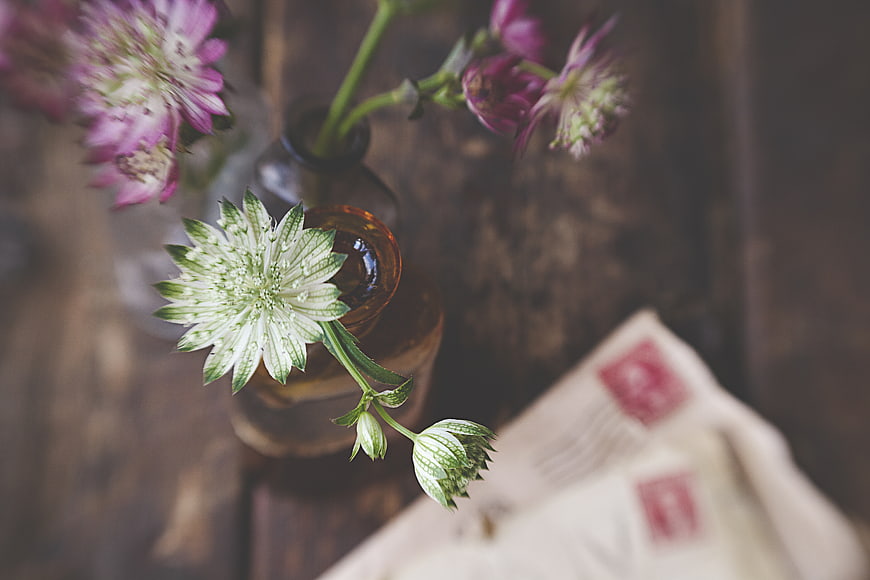 Vintage Nigella Flowers in Amber Vase with Old Letter