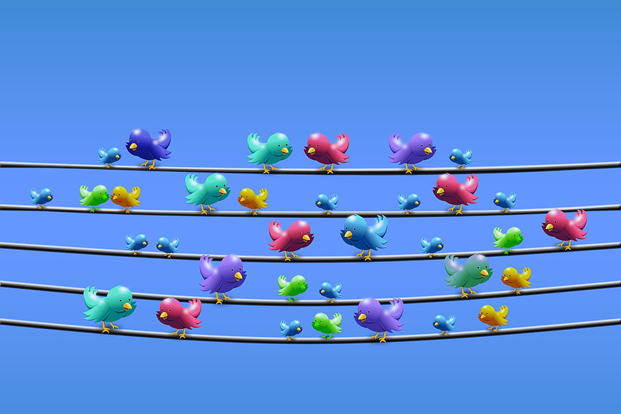 Colorful 3D Birds on Power Lines Against Blue Sky