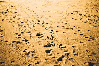 Golden Sand Footprints Beach Shore Texture Background