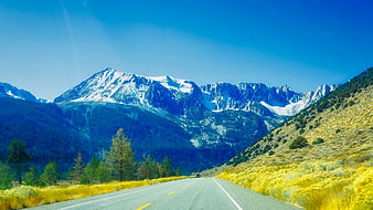 Scenic Mountain Road with Snow-Capped Peaks and Yellow Wildflowers