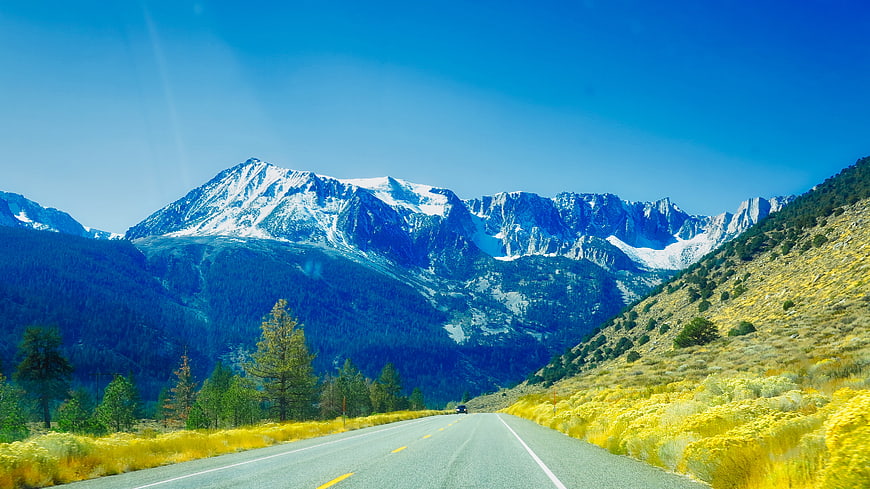 Scenic Mountain Road with Snow-Capped Peaks and Yellow Wildflowers