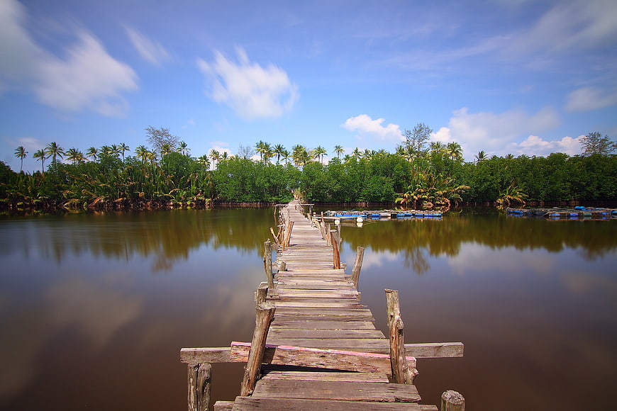 Wooden pier extending into calm tropical river with mangroves