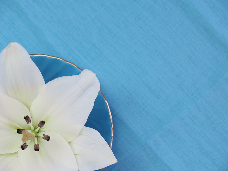 White Lily Flower on Blue Plate with Gold Rim