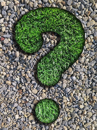 Green Grass Question Mark Shape on Gray Pebble Background